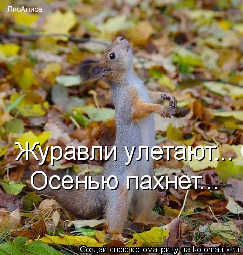 http://filed5-17.my.mail.ru/pic?url=http%3A%2F%2Fkotomatrix.ru%2Fimages%2Flolz%2F2009%2F10%2F23%2F385286.jpg&amp;mw=&amp;mh=&amp;sig=50e2fcf7cc2499d7024314b1f1615f0c