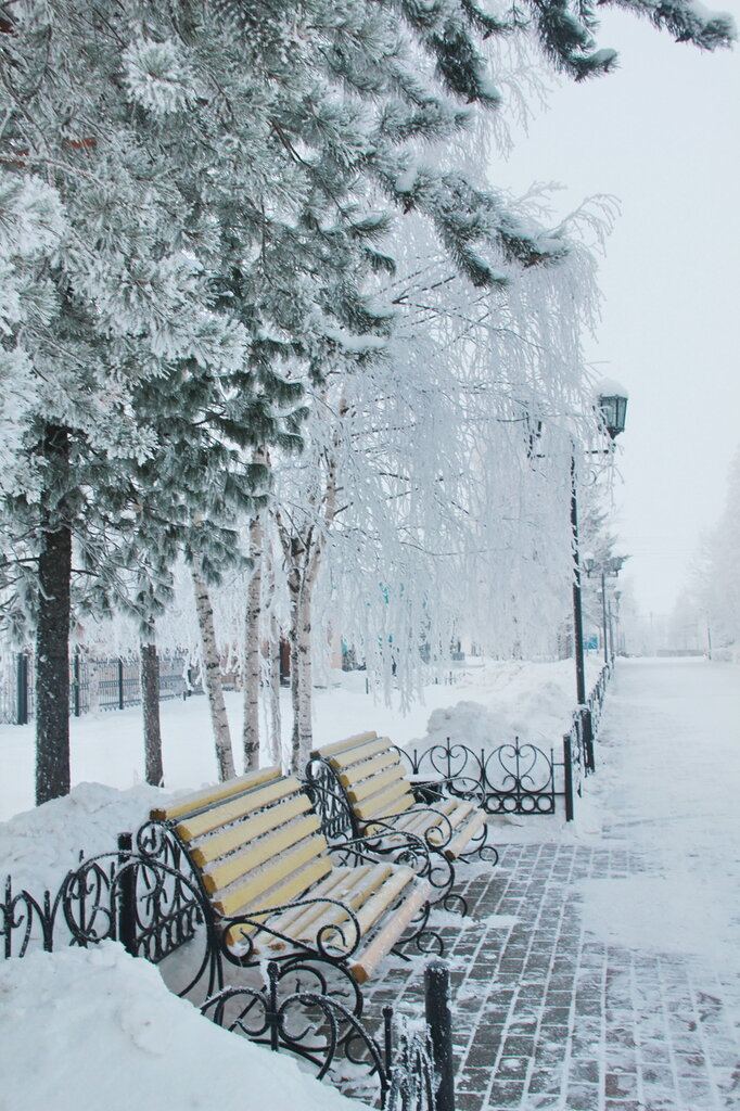 Зимнее утро в парке